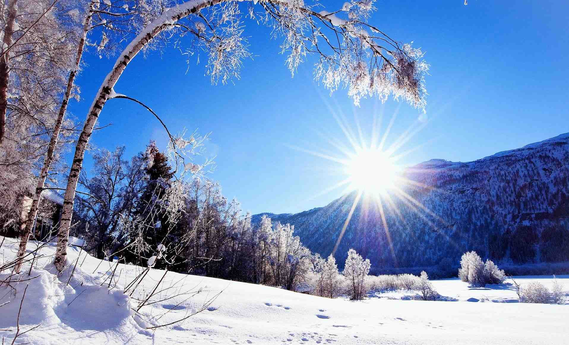 Sunny Winter
